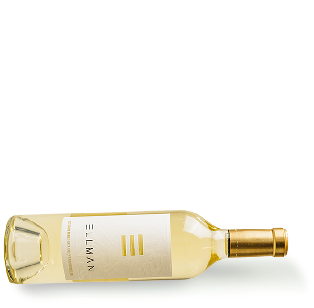 2023 Caryn Renae Sauvignon Blanc