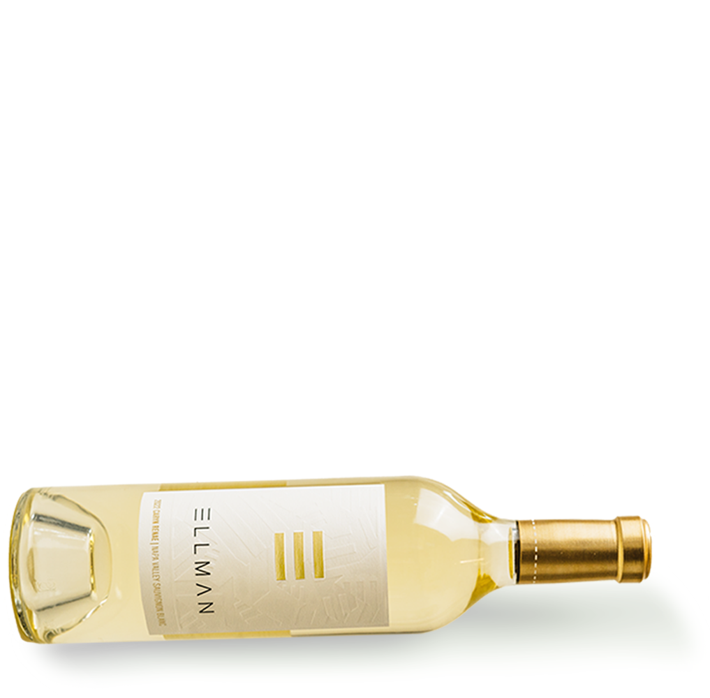 2022 Caryn Renae Sauvignon Blanc