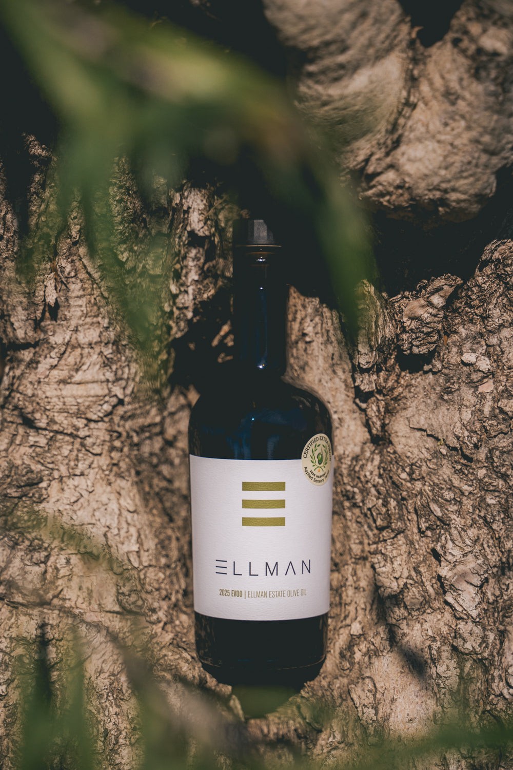 2025 EVOO Estate Olive Oil